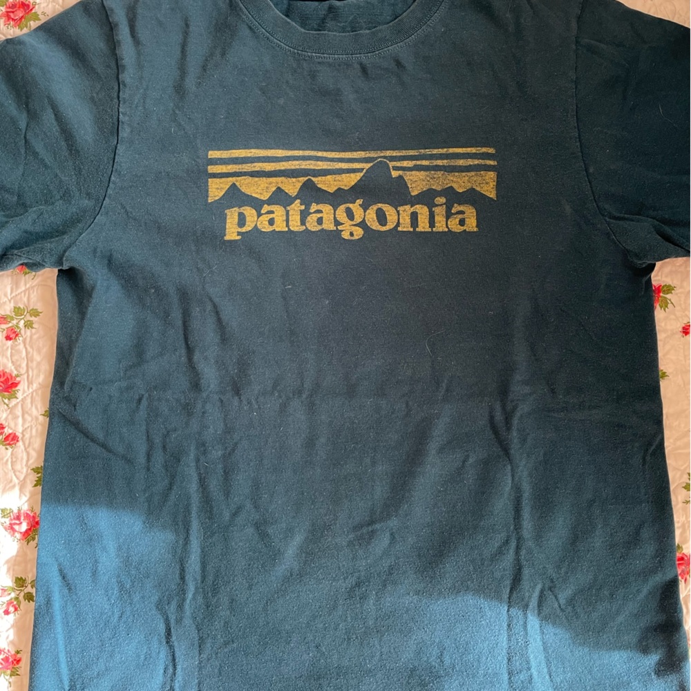 Mens Patagonia Tshirt